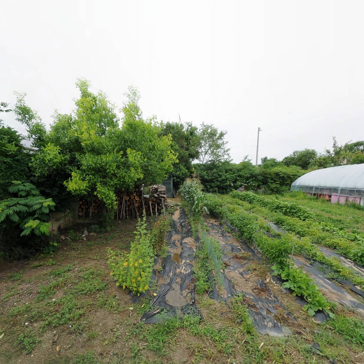 지산식품_3