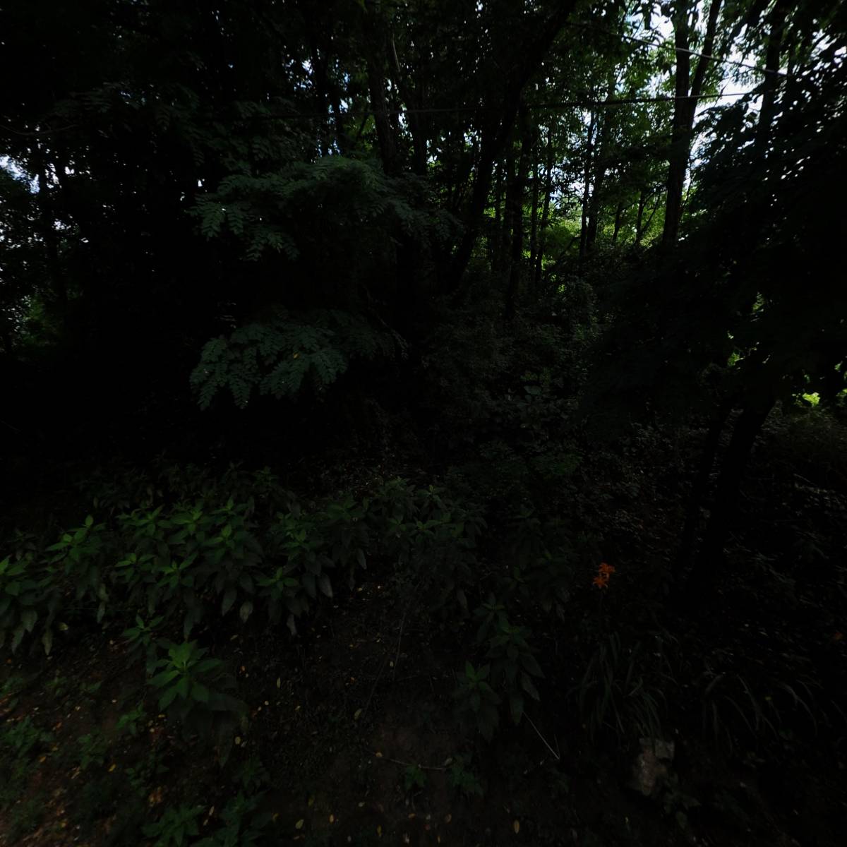 양지그린에너지