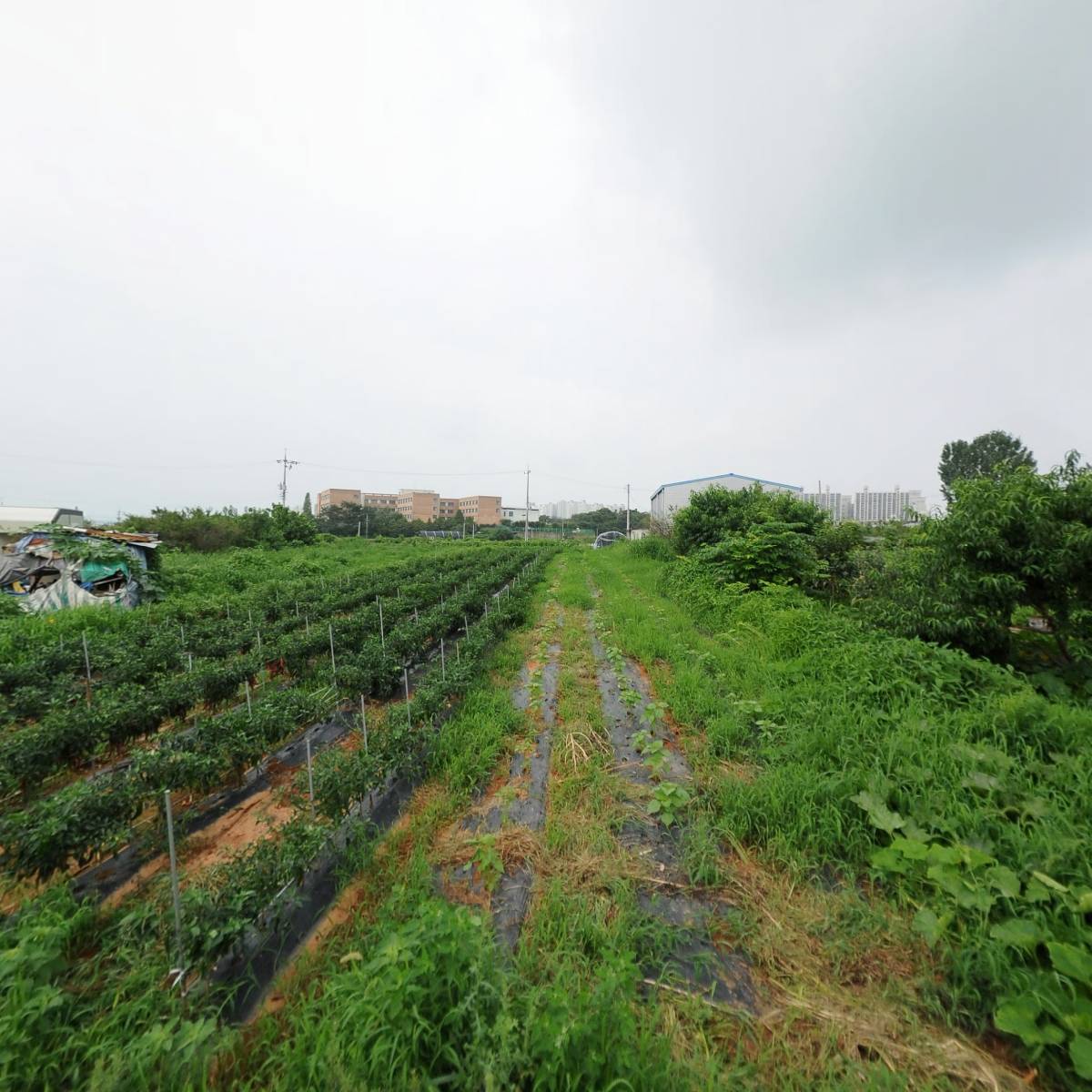 (주)동우방재건설