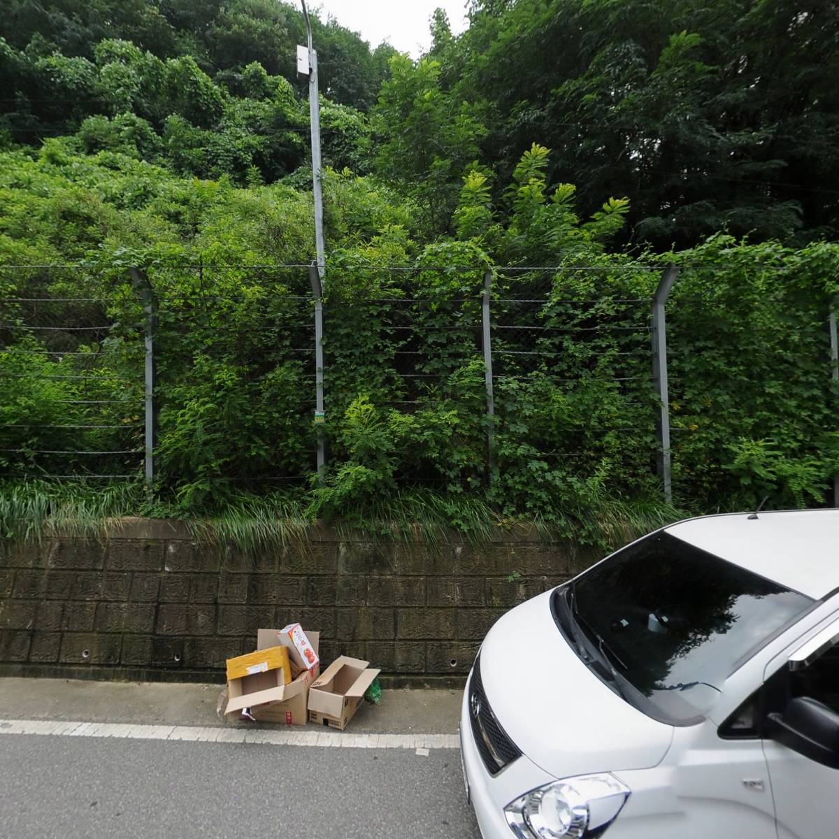 몽블리애견카페_3