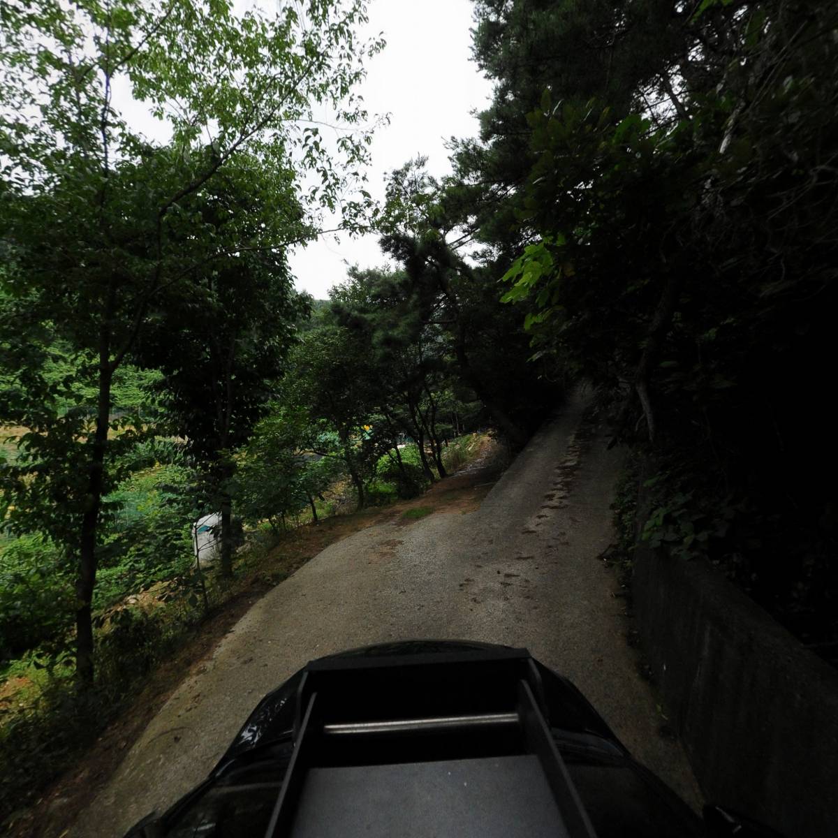 동그라미 약선연구원_4