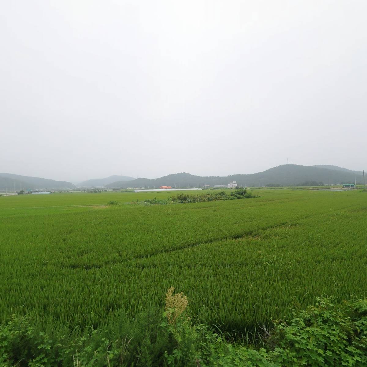 주식회사 더드림축산_3