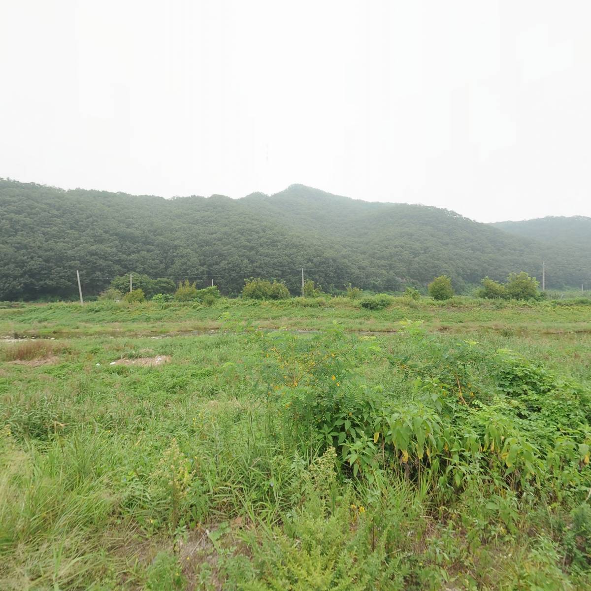 대명포장