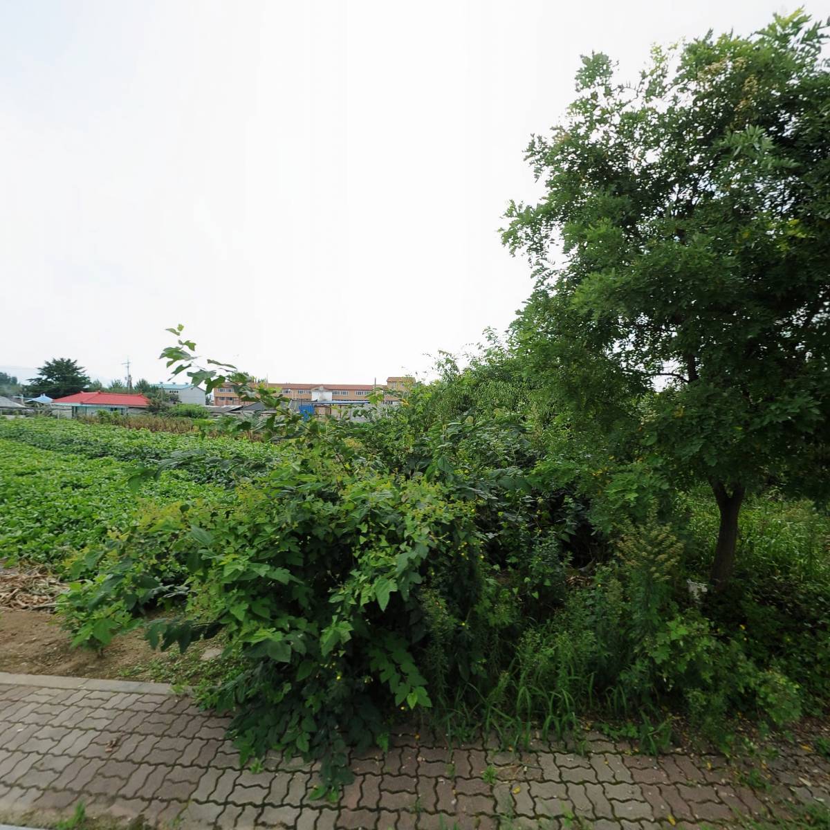 보금자리