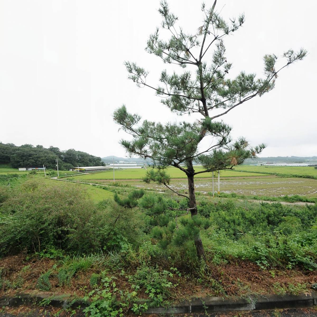 주식회사드림에이치알,(주)대흥정공