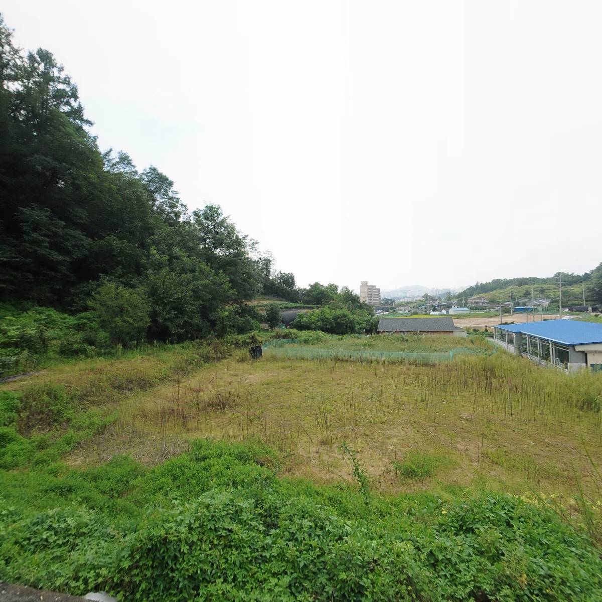 세진축산