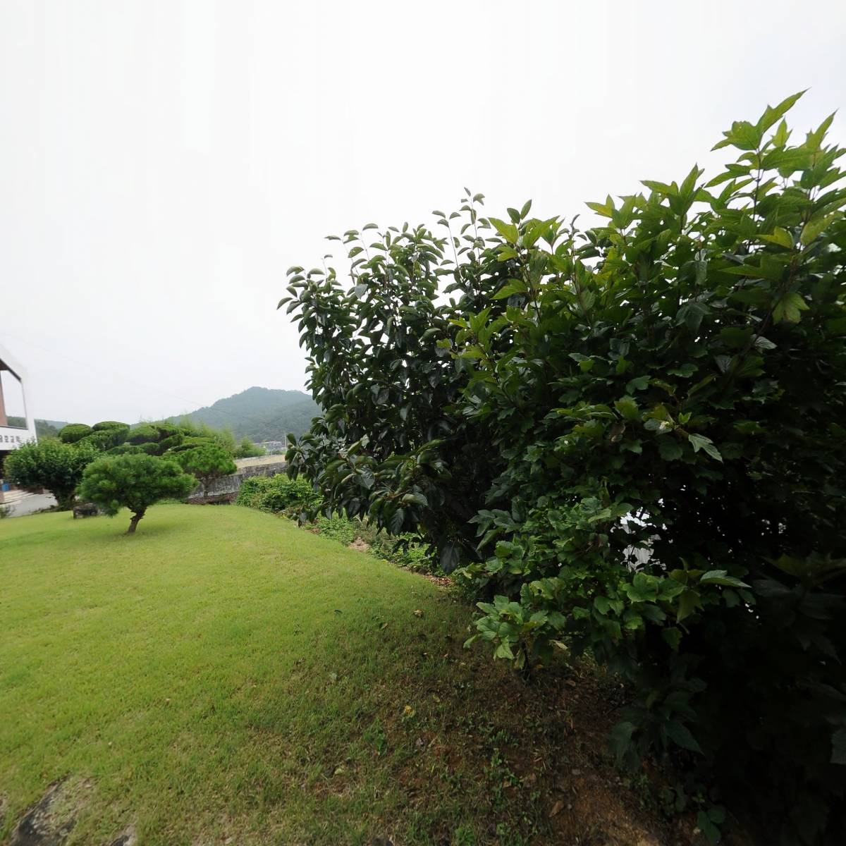 (주)동선씨에스