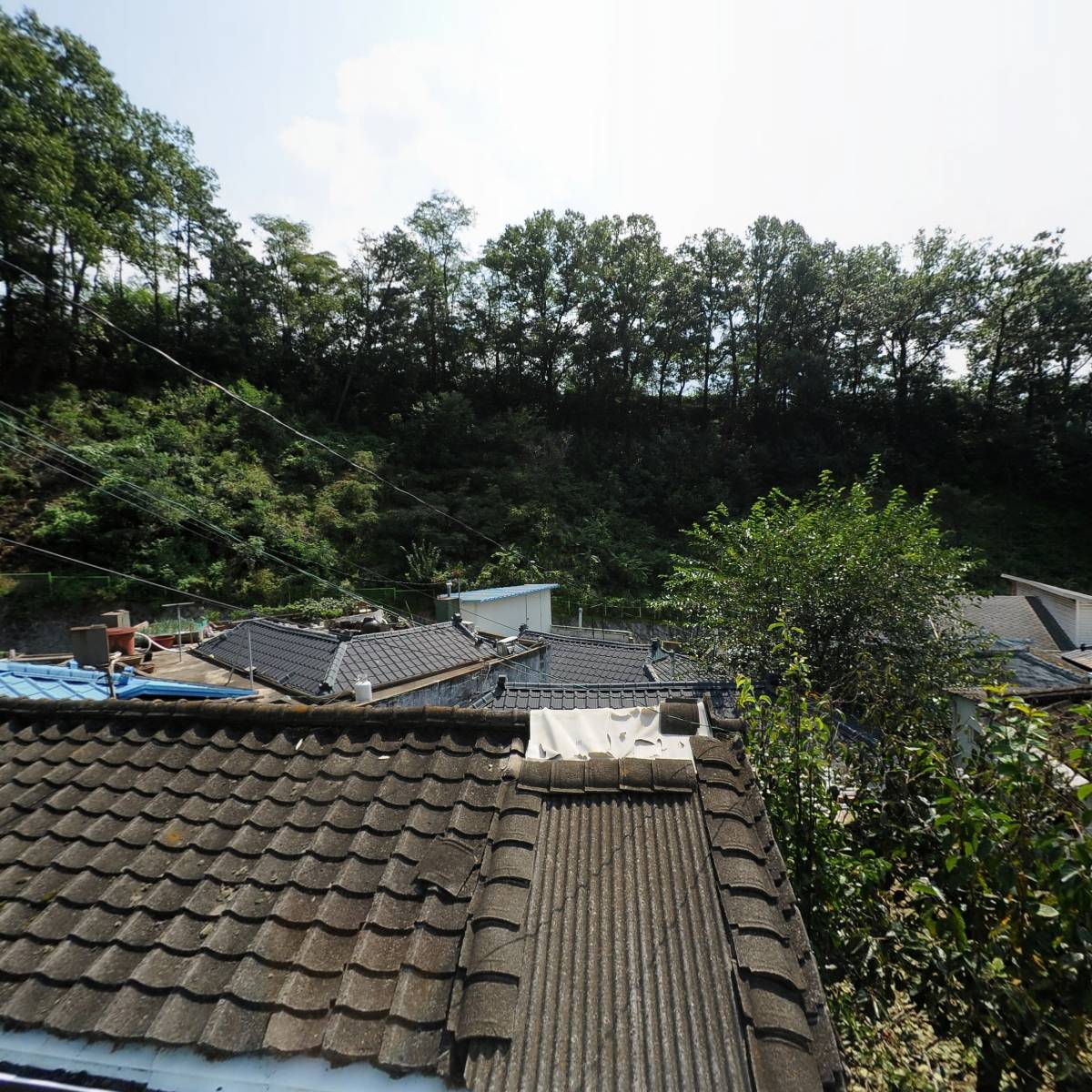 바로팜협동조합