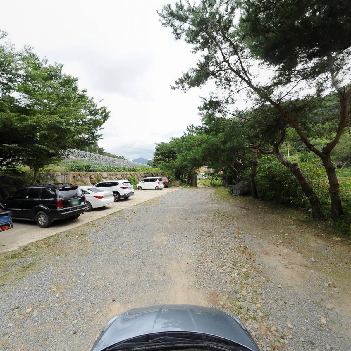 치유사랑협동조합_4