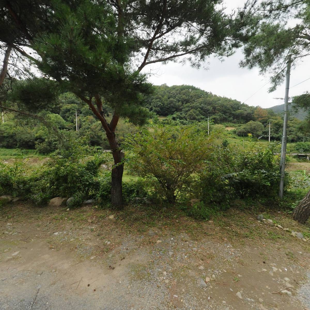 치유사랑협동조합