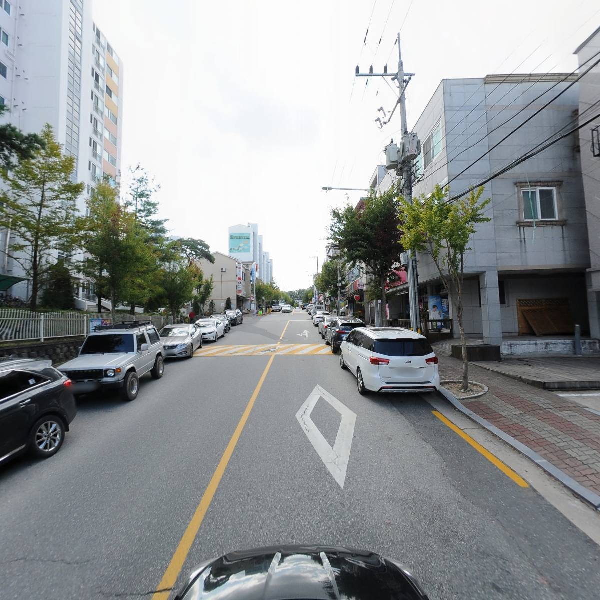 멍멍하누_4