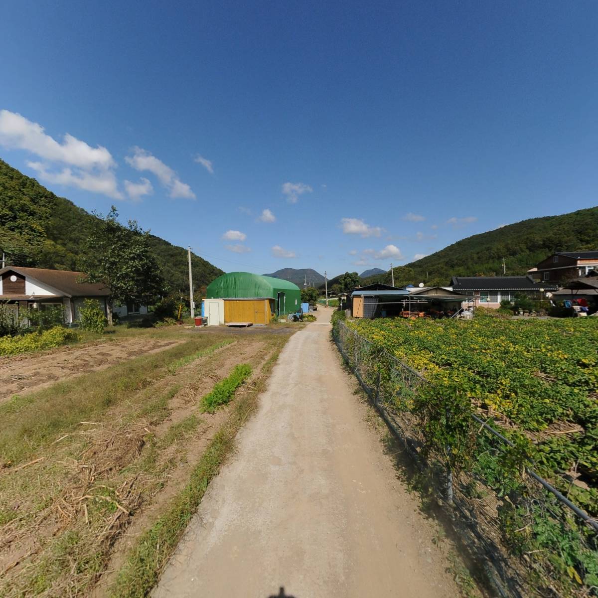 터울개발_2