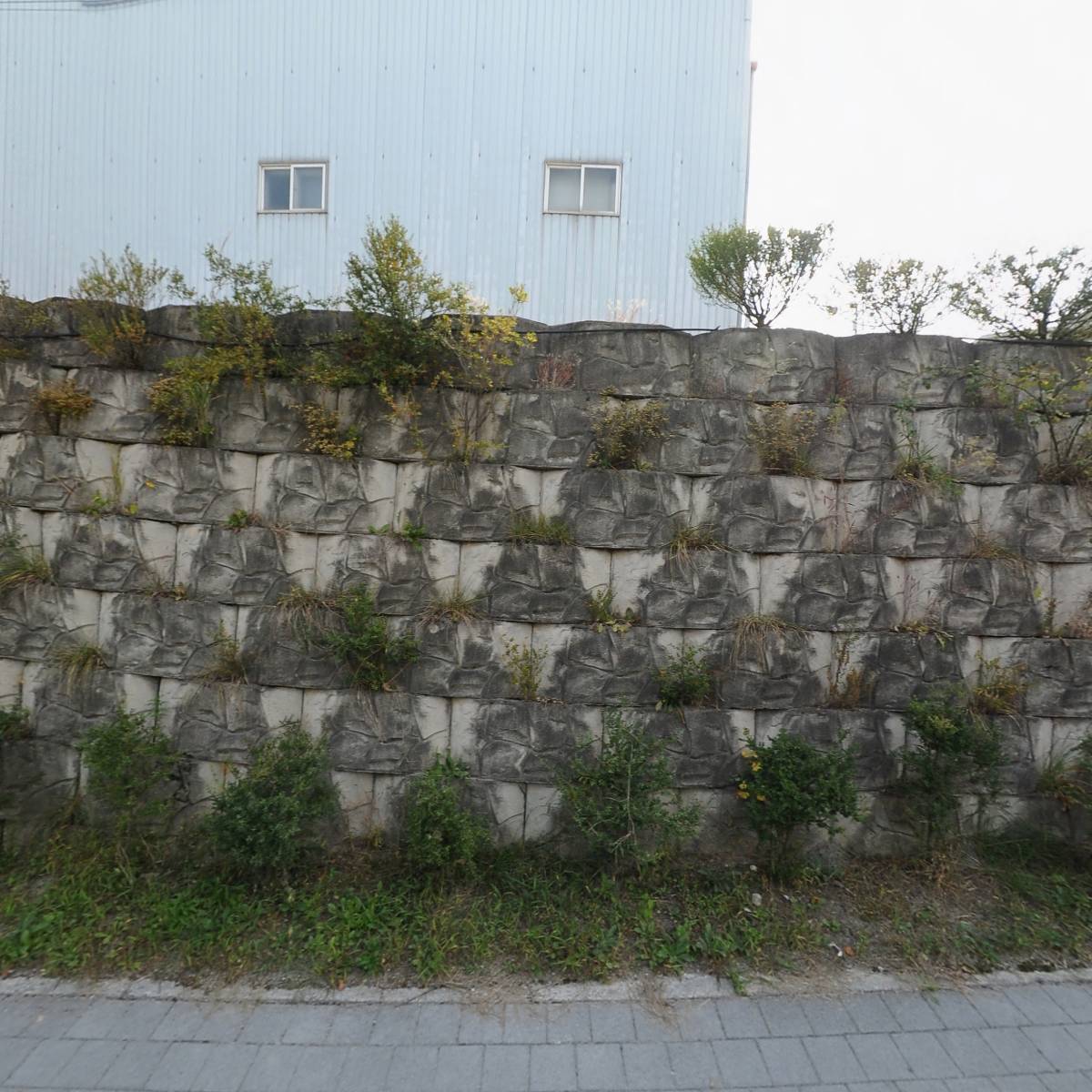 농업회사법인 주식회사 한국라이스텍
