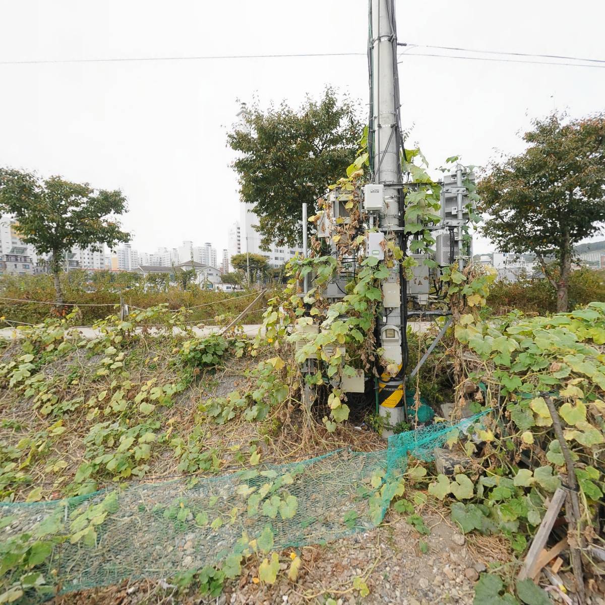 국제산업