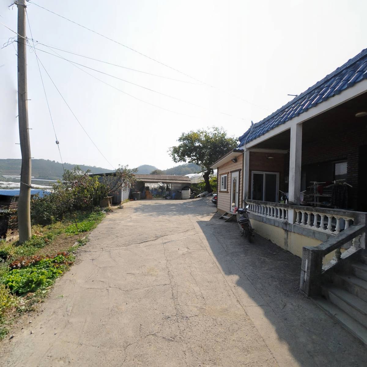 함안포도연구회영농조합법인_2