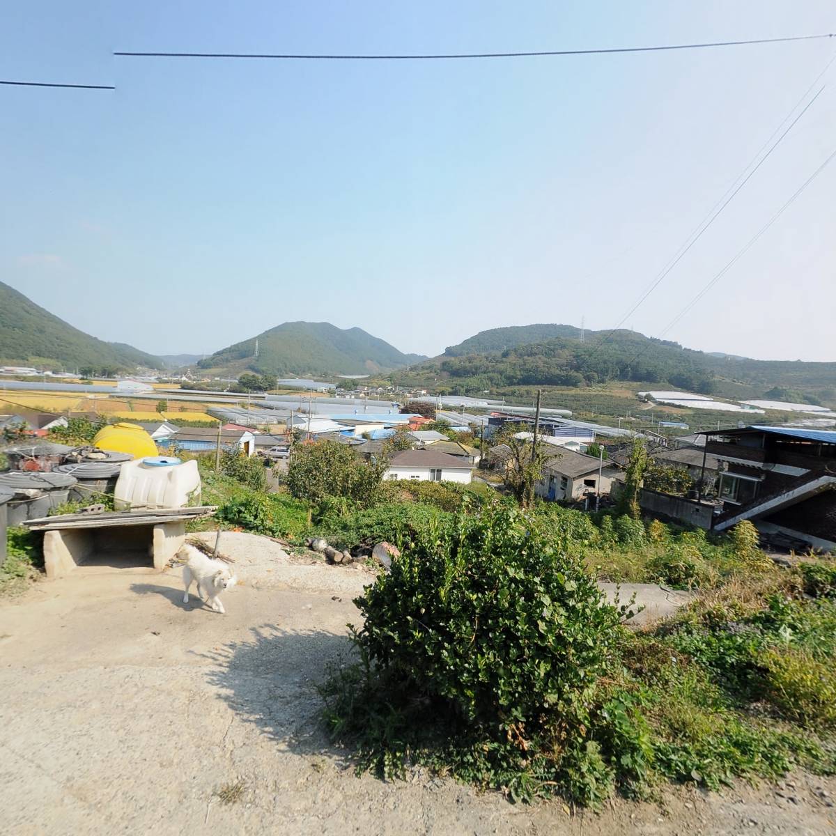 함안포도연구회영농조합법인