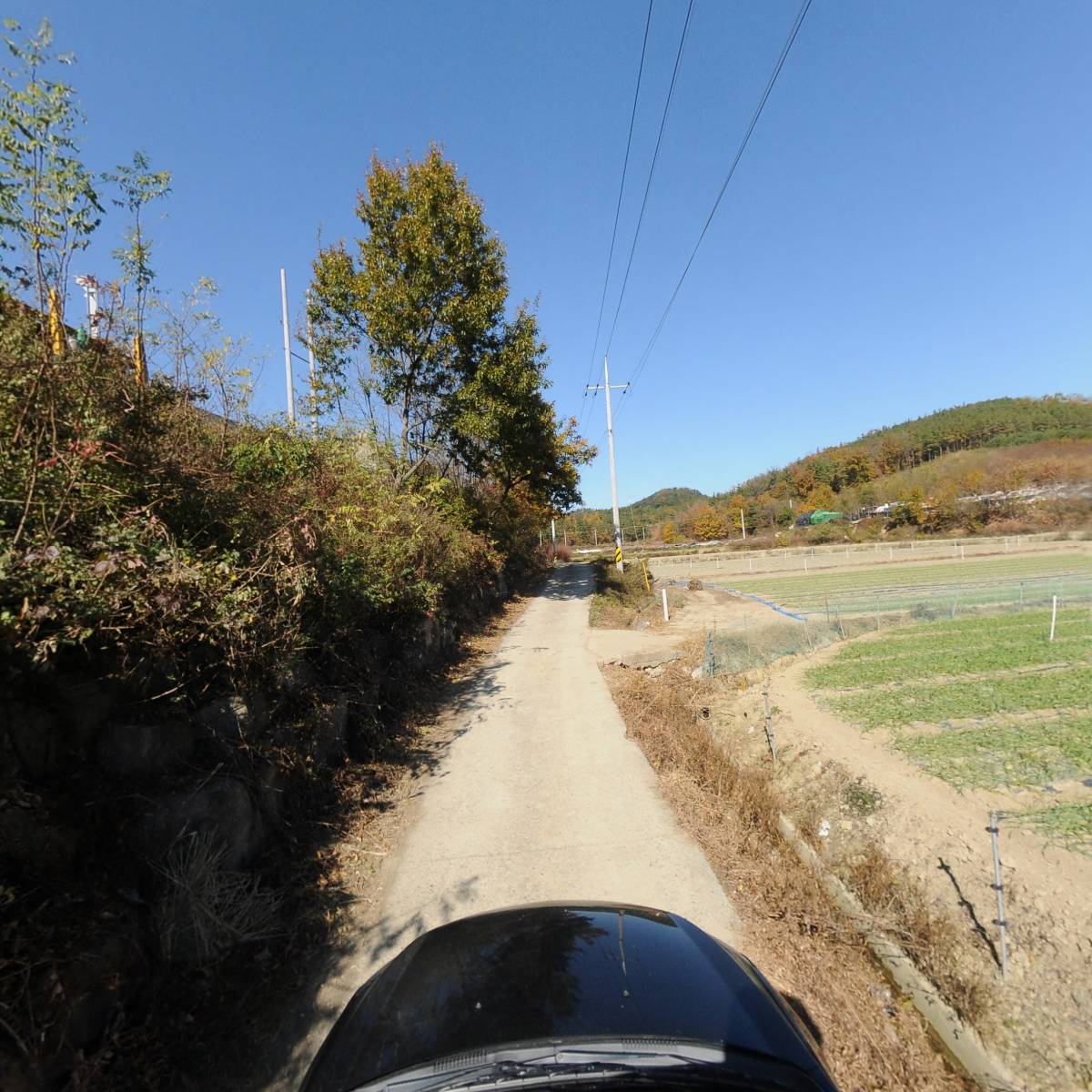 (주)영천한방푸드_4