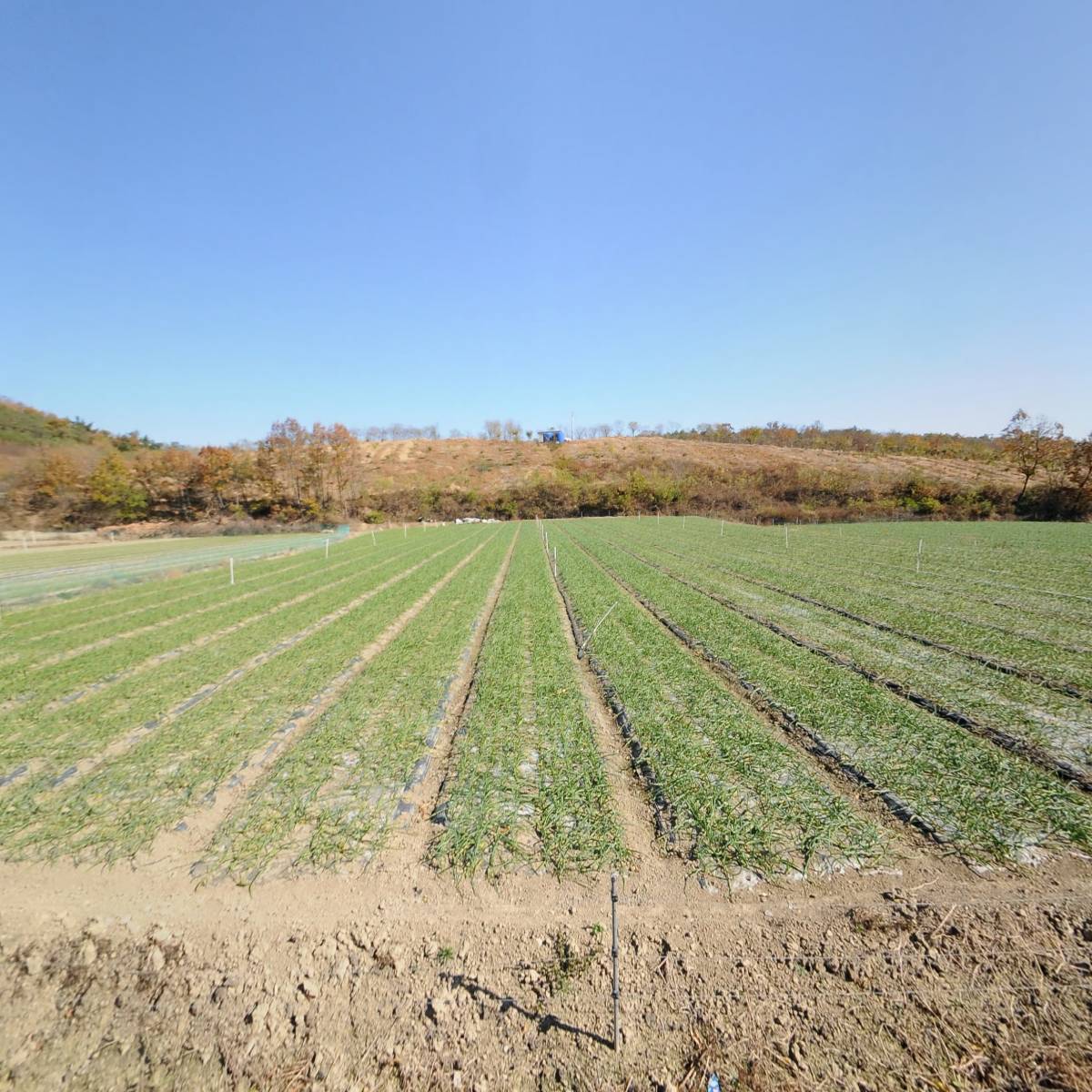 (주)영천한방푸드