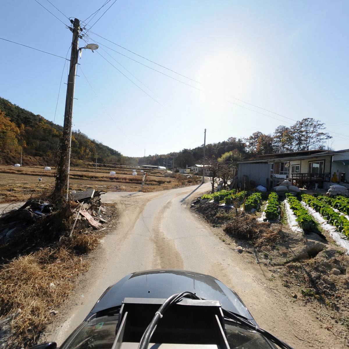 연수네농장_4