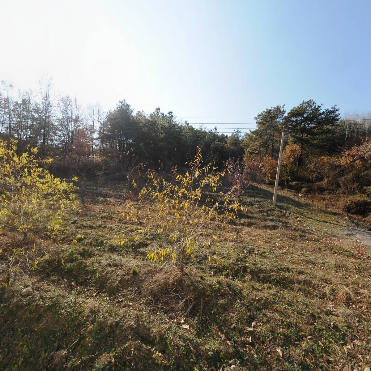 한국수소수주식회사_3
