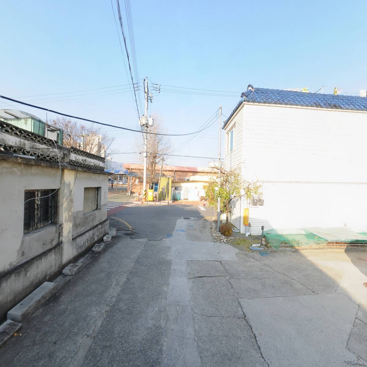 농업회사법인주식회사손수팜_2