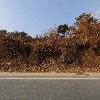 청화산골뫼농원_3
