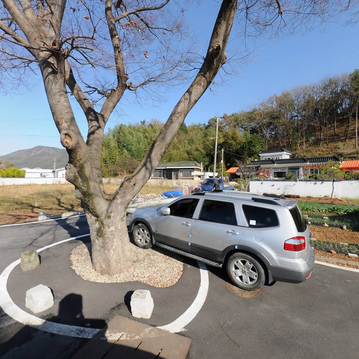 주식회사 호진
