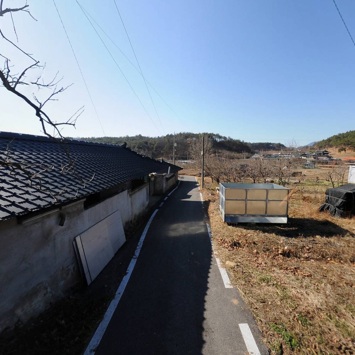햇살 아로니아 농장_2