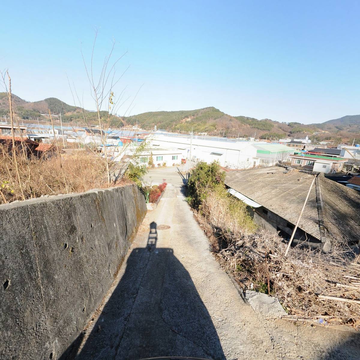 만디_2
