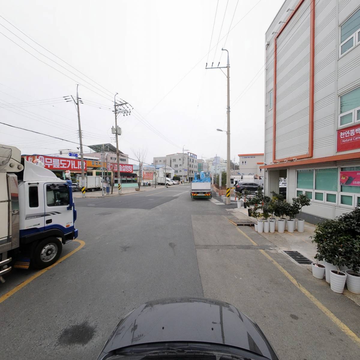농업회사법인 (주)한국동백연구소_4