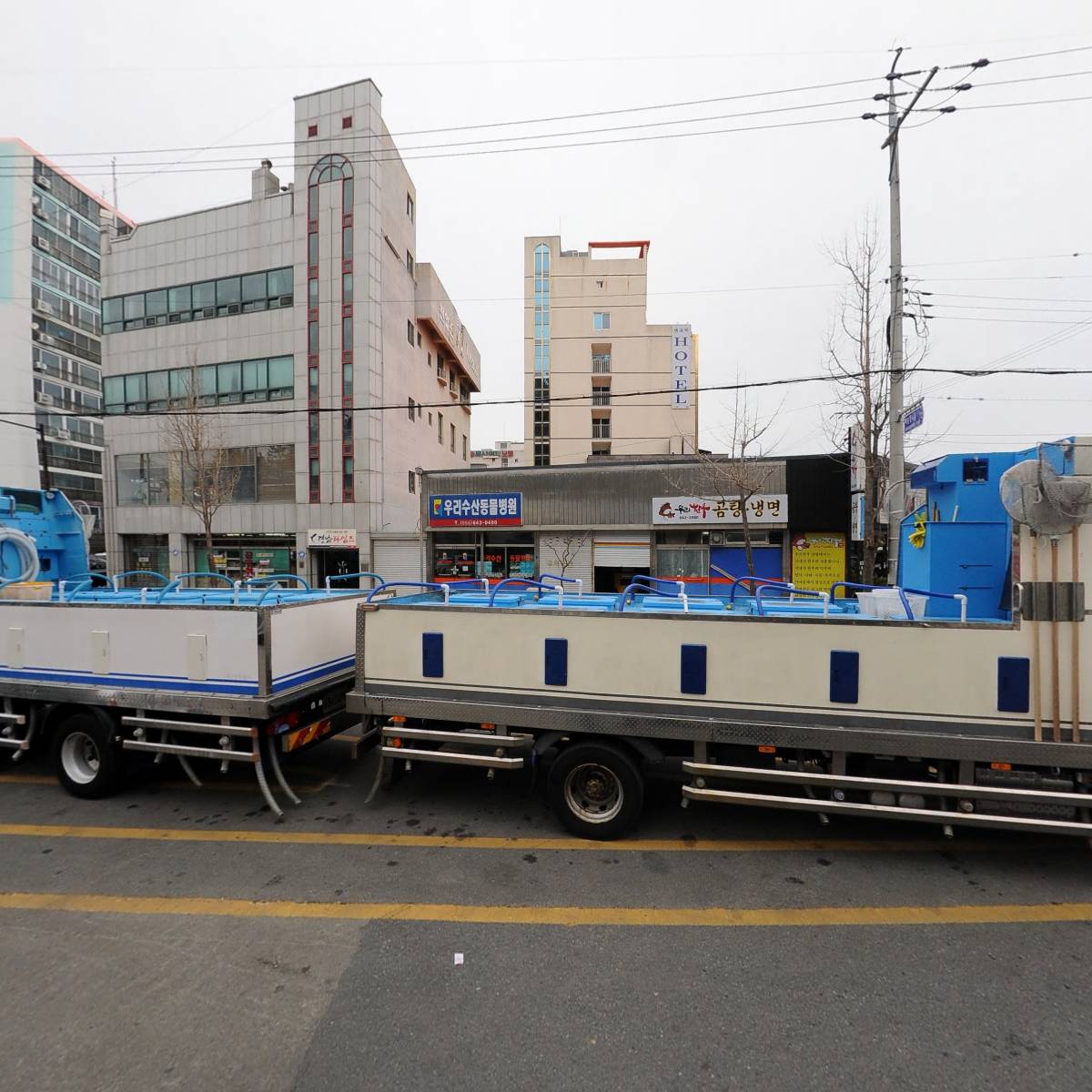 농업회사법인 (주)한국동백연구소_3