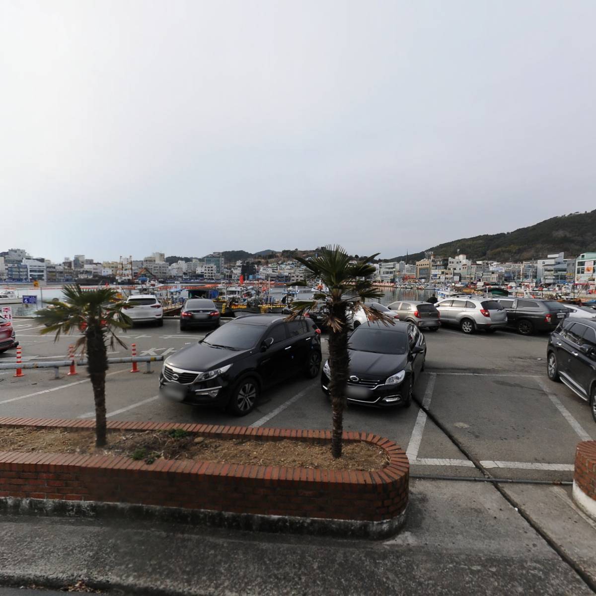 해물부심