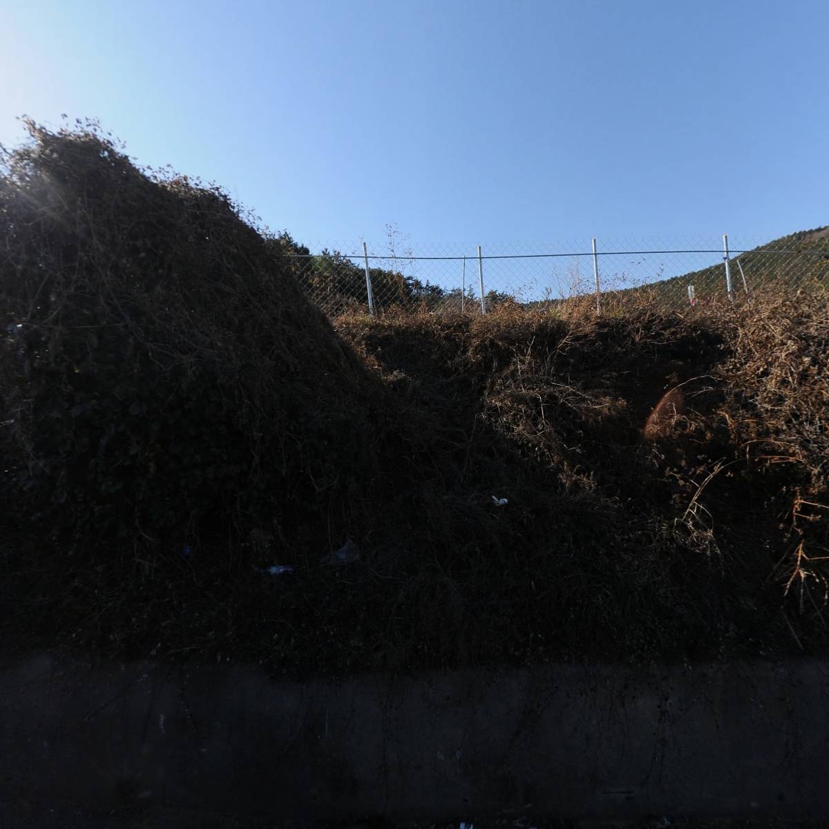 오가네수산