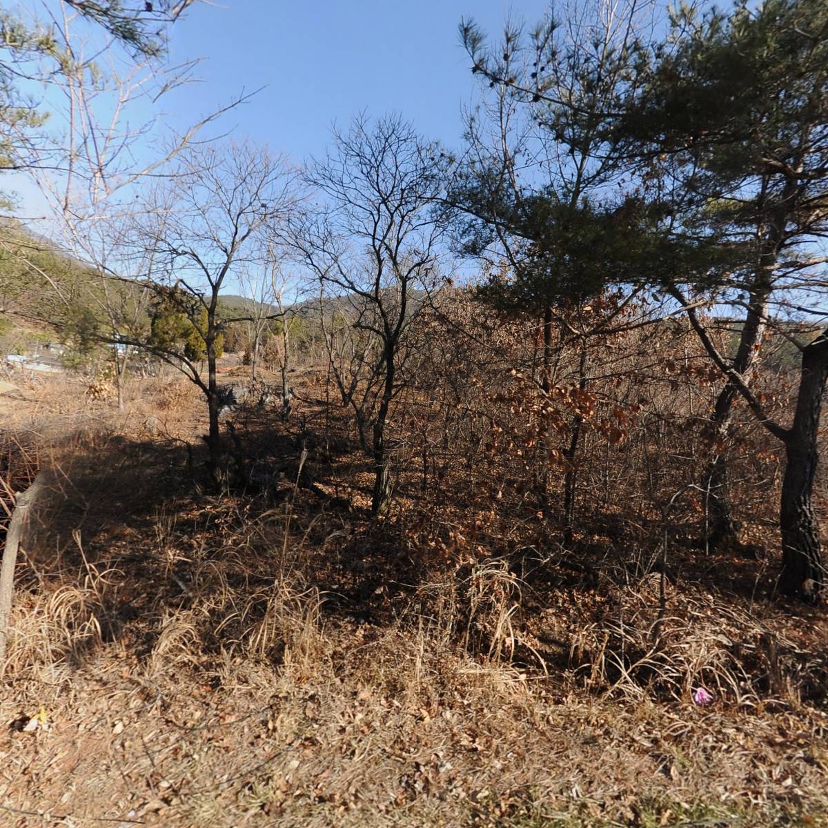 주식회사 프라임홀딩스_3