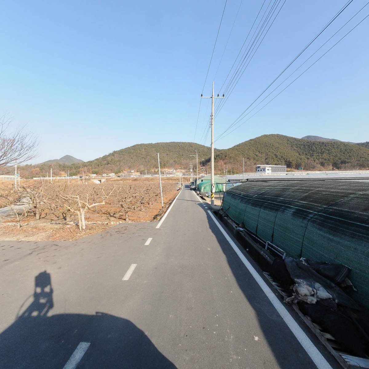 밀양꾸지뽕 영농조합법인_2