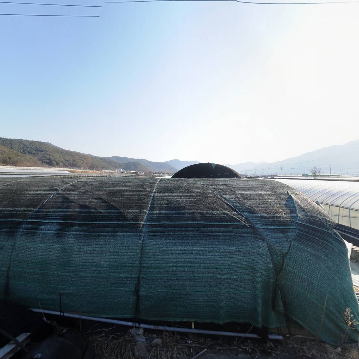 밀양꾸지뽕 영농조합법인_3