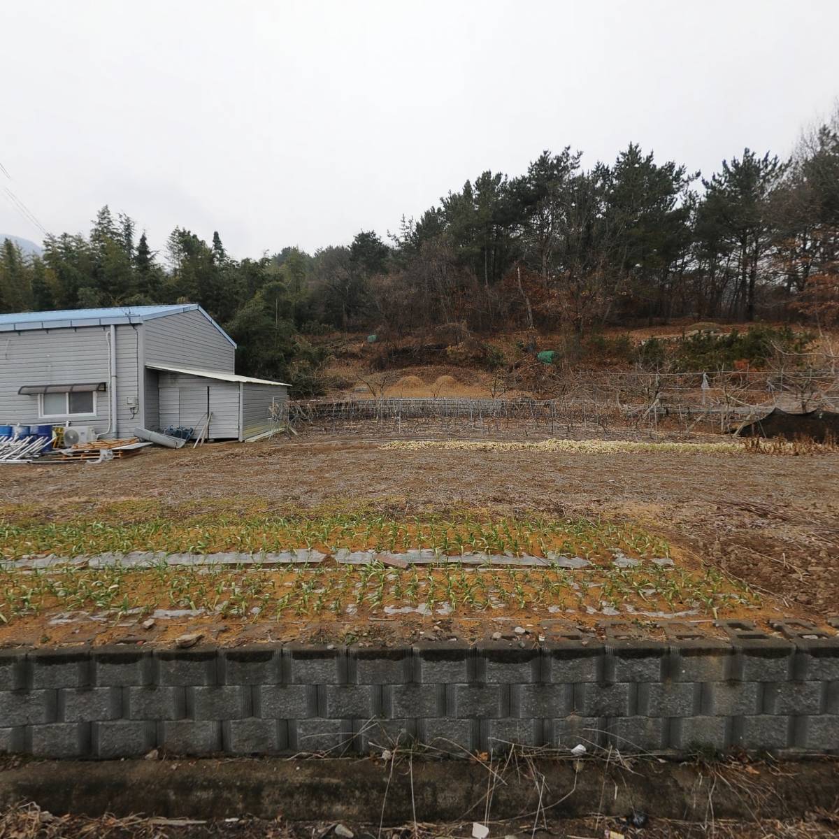 영농조합법인 우보산초