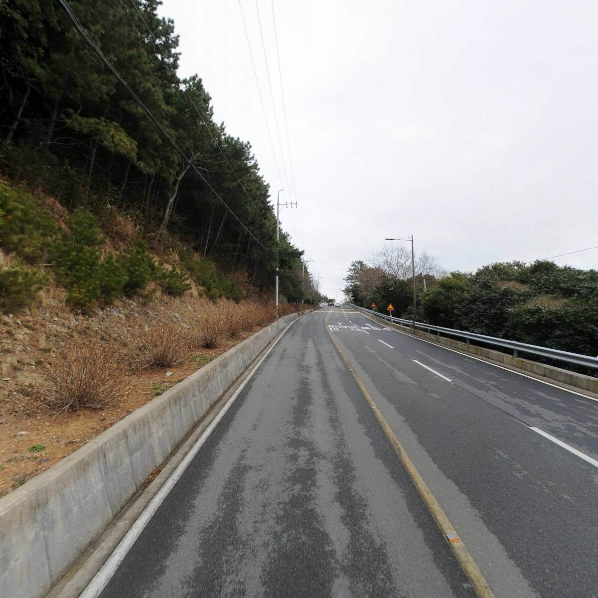 플로리아펜션, 다다화_2