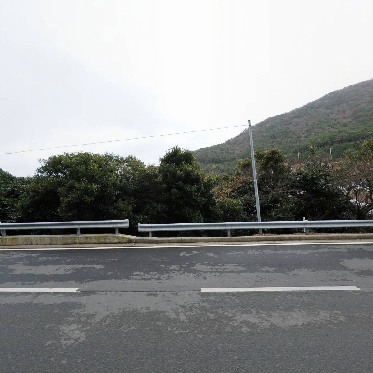 플로리아펜션, 다다화_3