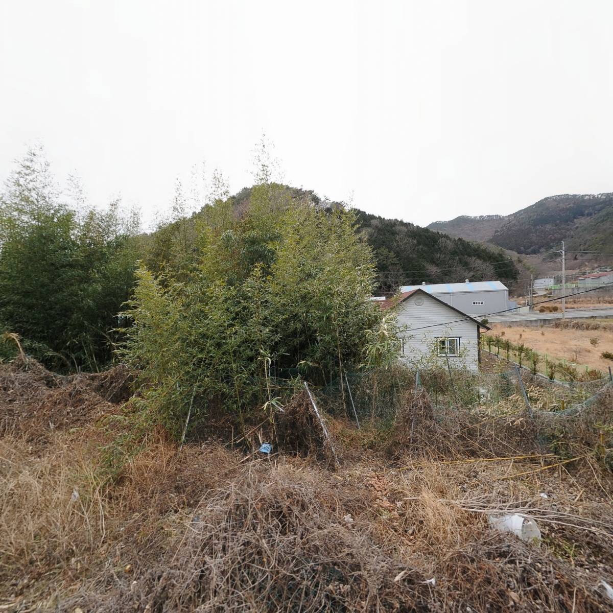 동광에너지(주)