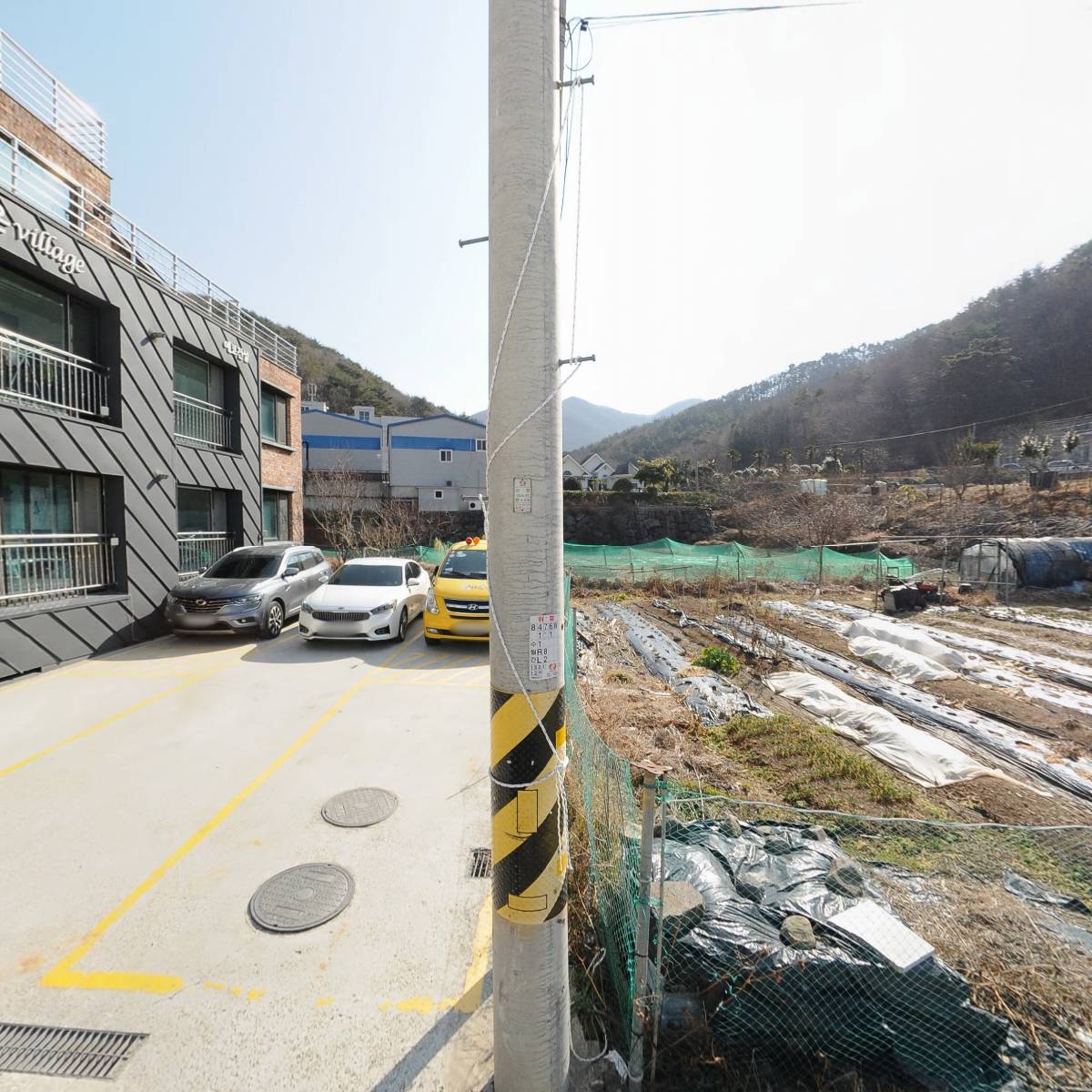 파인슐레어학원