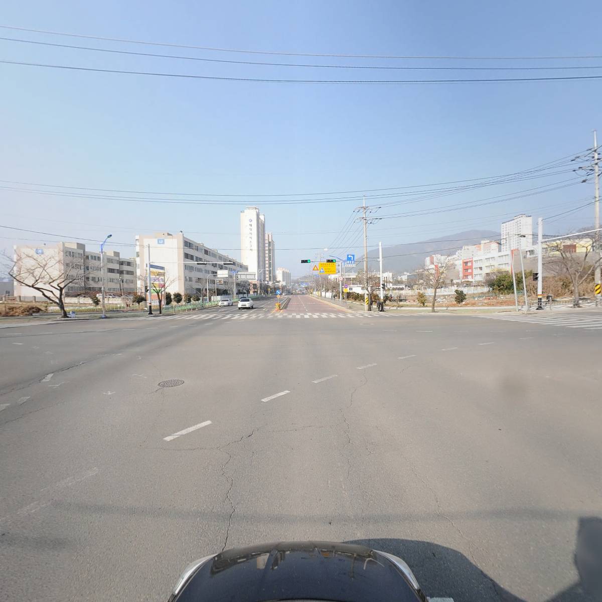 나니스펫푸드_4