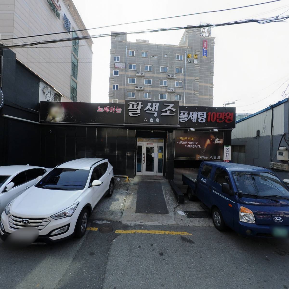 노래하는 팔색조