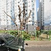 주식회사 케이티앤지 거제지사_3