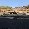 거장물총칼국수_3