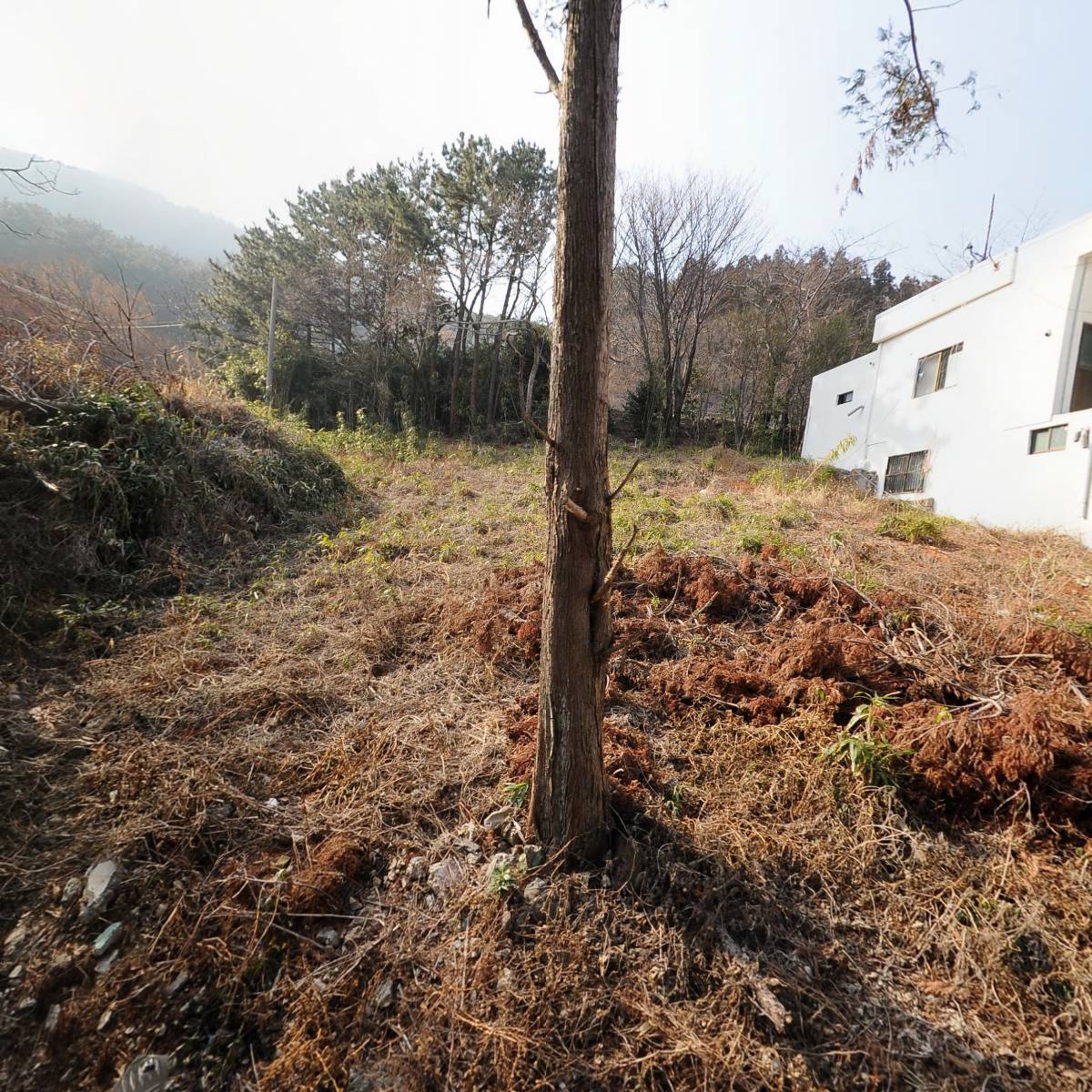 마전초등학교