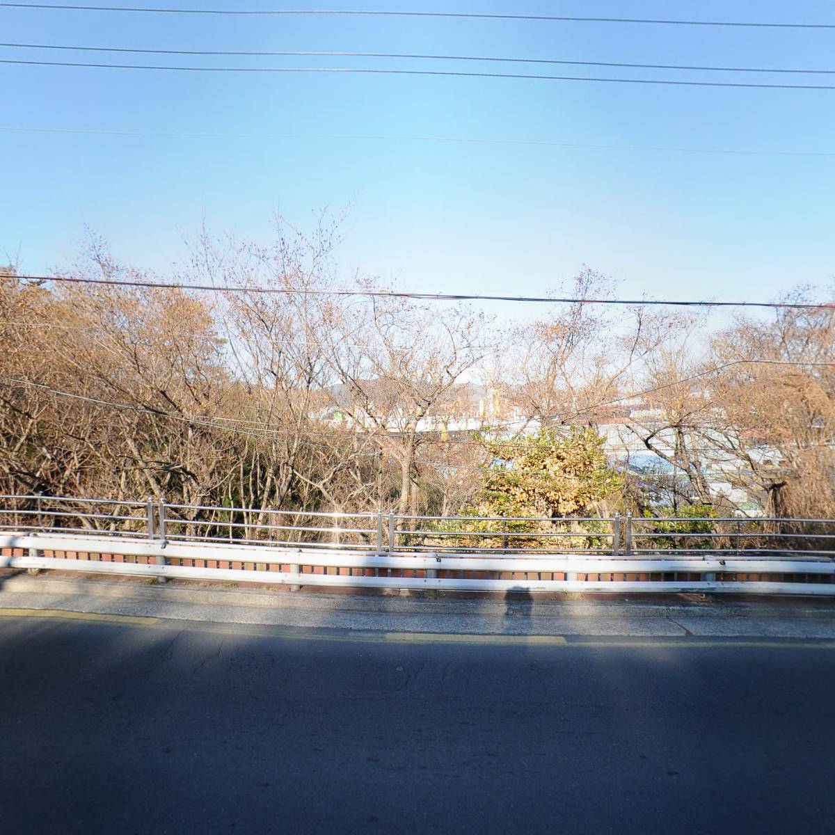 더베이1804