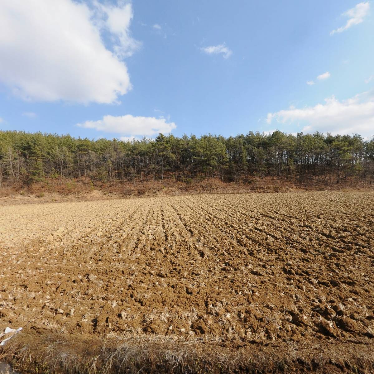 (주)우리농산물 가야_3