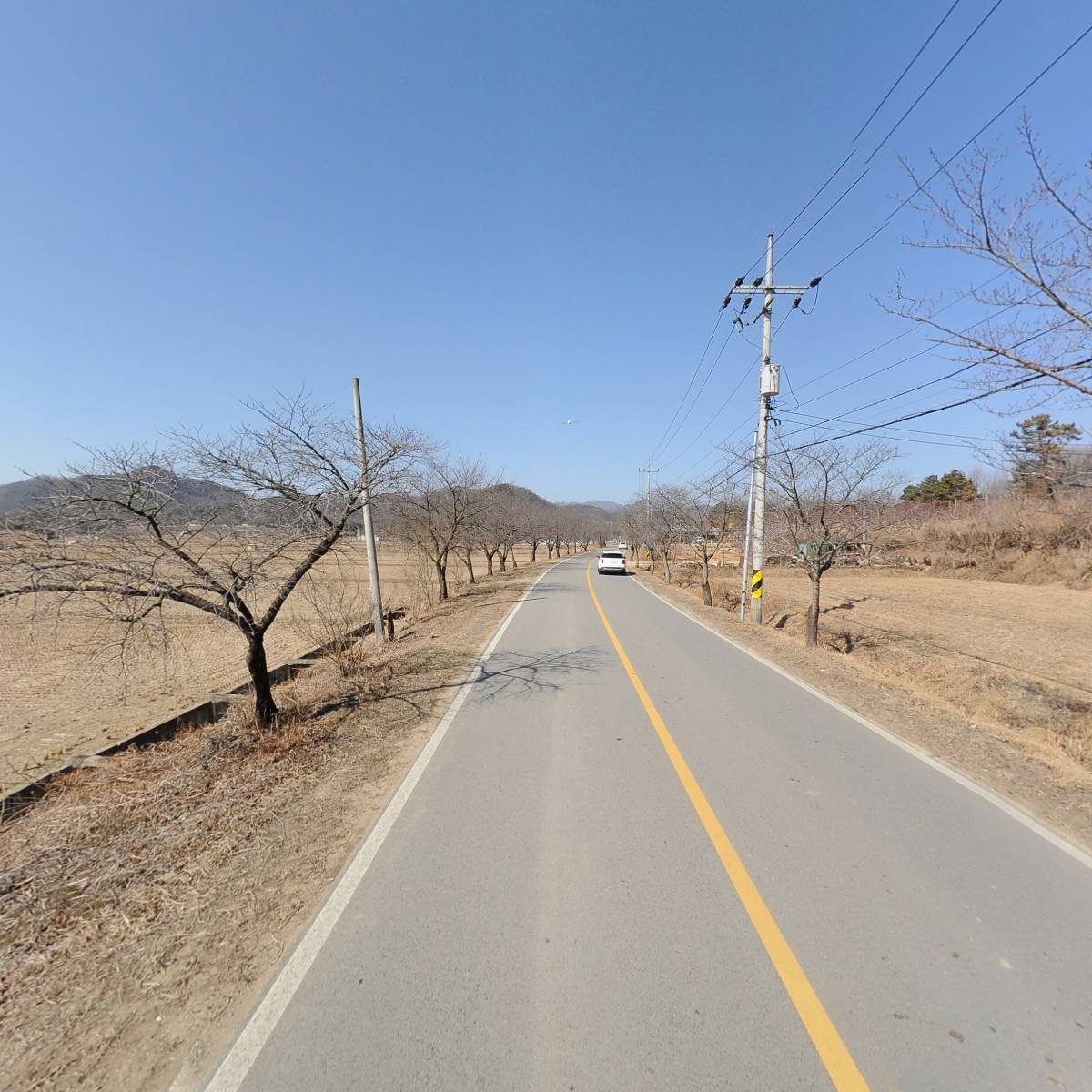 대한불교조계종 자광사_2