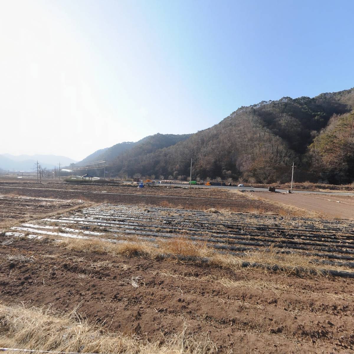 경상북도 카바레트 연구회